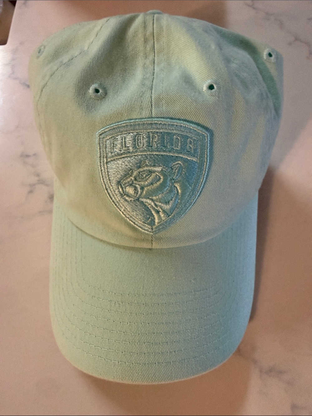Florida Panther’s Baseball style Cap - Mint Green - American Needle Brand